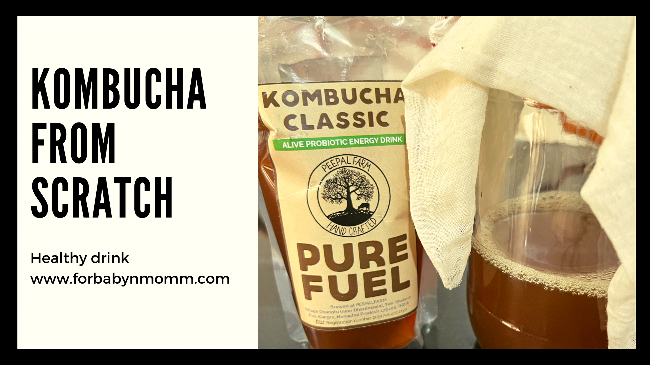 How to make Kombucha from Scratch?